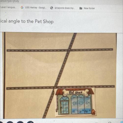 Draw a school that is vertical anégale to the pet shop