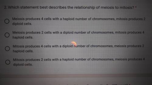 What is similiar between meiosis and mitosis