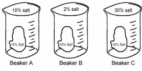 Look at Beaker B below. It shows a cell with 10% salt in a beaker filled with 2% salt. Which direct