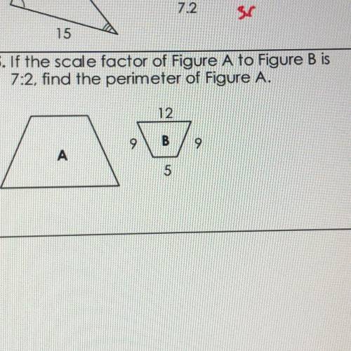 I’m very confused can someone please help me????