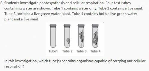 A) Tubes 1 and 2 
B) Tube 2 only
C) Tube 3 only
D) Tubes 2,3,4 
help asap pls