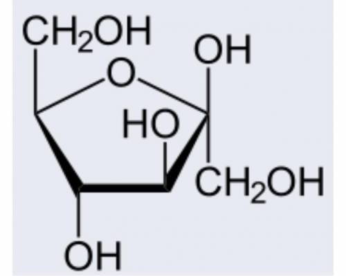 PLZ HELP DUE IN 5 mins

identify the carbon compound in the picture 
Carbohydrate
Lipid
Nucleic Ac