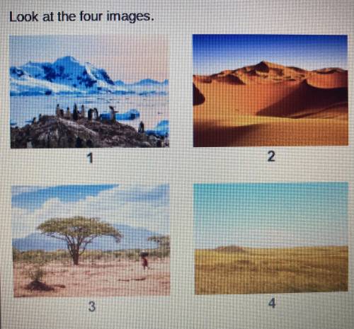 Look at the four images.

Which image represents a Tropical rainy climate?
1
2
3
4