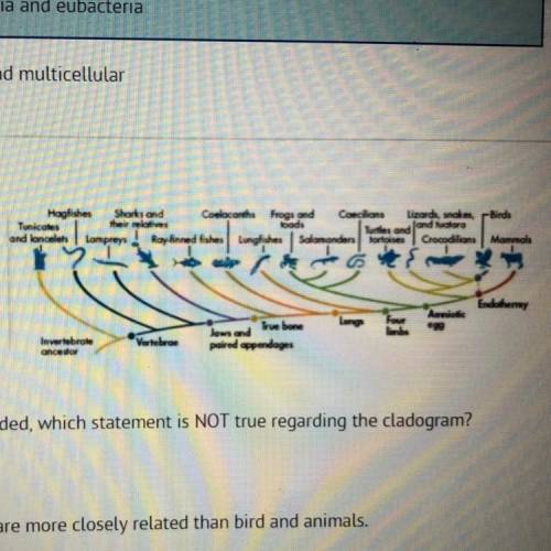 According to the diagram provided, which statement is NOT true regarding the cladogram?

A)
Birds
