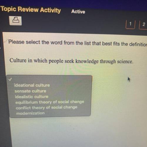 Please select the word from the list that best fits the definition

Culture in which people seek k