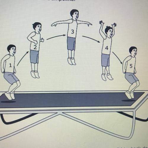 The diagram below shows a boy with his positions above the trampoline

Which best describes the en