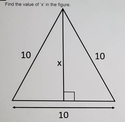 Find the value of 'x' in the figure.