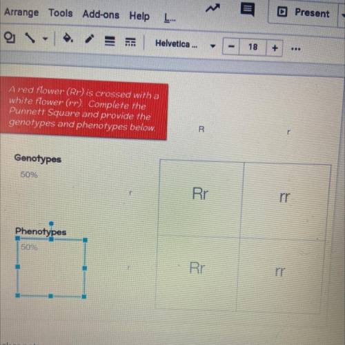 Punnet squares, is this right? Lol