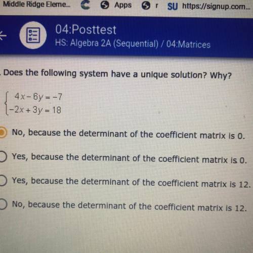 17. Does the following system have a unique solution? Why?