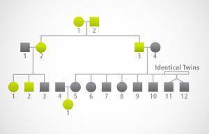 GIVING BRAINLIEST

The pedigree chart below shows the individuals in a family who exhibit a certai