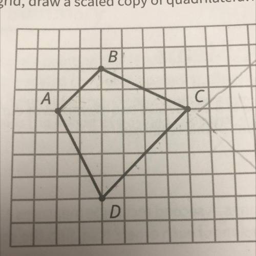 4. On the grid, draw a scaled copy of quadrilateral ABCD with a scale factor 2/3.
