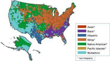 Data courtesy of the SSDAN (2000)

The below map shows the most common racial groups in each US co