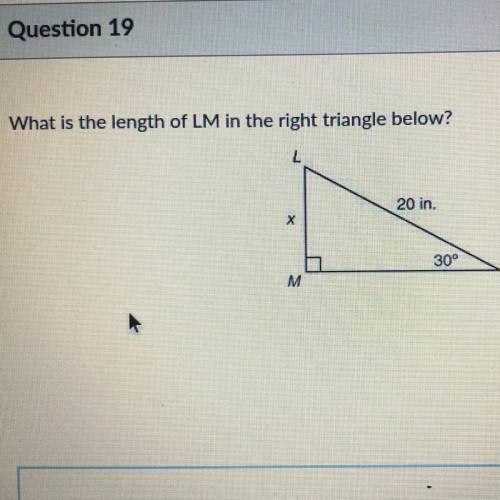 What is the LM of the triangle