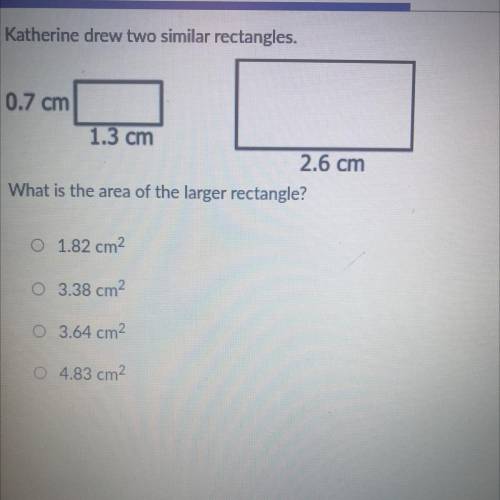 The area of the larger rectangle