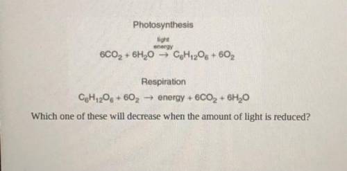 32.

Photosynthesis
light
energy
6CO2 + 6H2O → CH1206 +602
Respiration
CH 206 +602 → energy + 6CO2