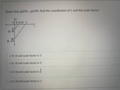 PLEASE HELP 
I need help with these problem