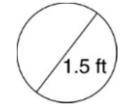 What is the circumference, in feet, of the circle. Round to the nearest tenth
