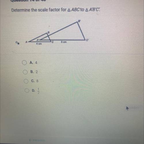Pls help for final!!!Determine the scale factor for ABC to A A'B'C!

4 om
8 cm
A. 4
B. 2.
C. 8
D.