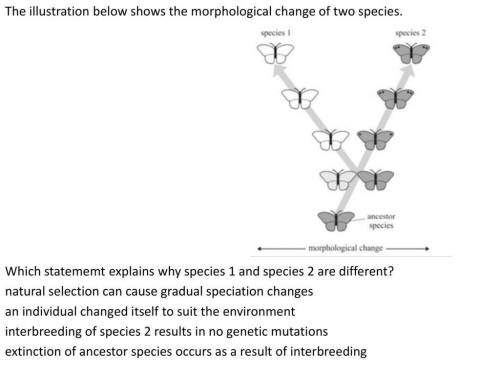 The diagram below shows the morphological change of two species.

Which statement explains why spe