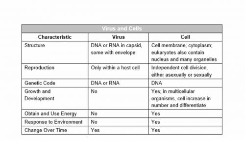 Yuhan is creating a model of a virus, and she studies the table below that outlines the differences