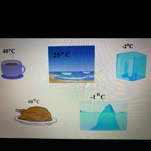 What is the thermal energy least to greatest

A cup of coffee
An ocean
An ice cube
A cooked turkey