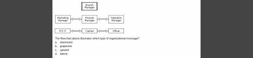 The flowchart above illustrates which type of organizational message?

a.
downward
b.
grapevine
c.