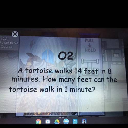 A tortoise walks 14 feet in 8
minutes. How many feet can the
tortoise walk in 1 minute?