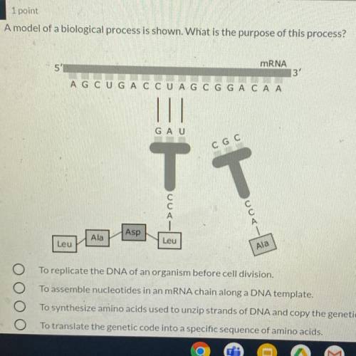 A model of a biological process is shown. What is the purpose of this process?