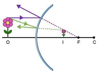 A ray diagram is shown.

A flower is an object in front of a convex mirror. A ray parallel to the