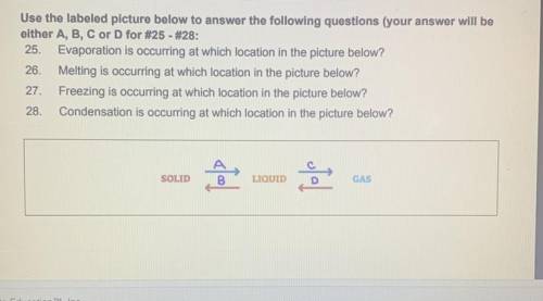 Use the labled picture to answer the questions
