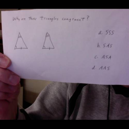 Why are these triangles congruent