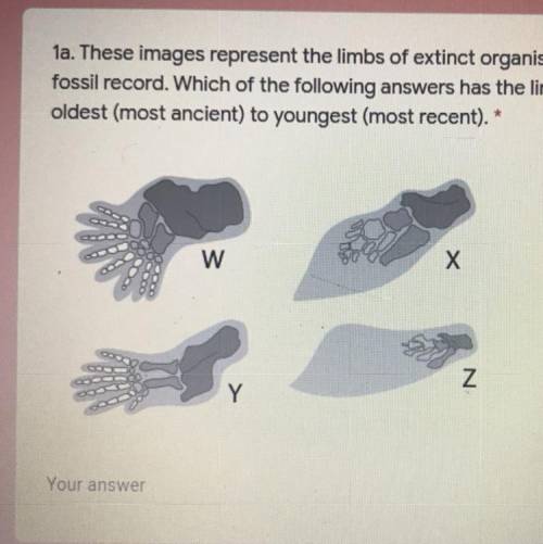 1a. These images represent the limbs of extinct organisms found in the fossil record. Which of the