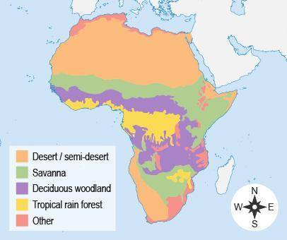 Which geographic feature covers most of North Africa?

desert
savanna
deciduous woodland
tropical