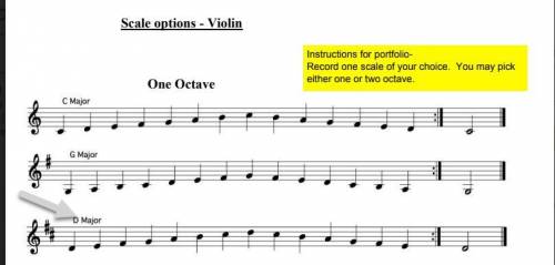 What is an octave? And what does it mean by 1 octave and 2 octaves?

Basically I want to play D ma