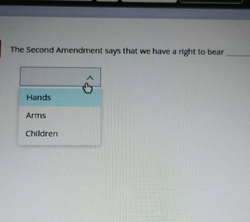 5 The Second Amendment says that we have a right to bear