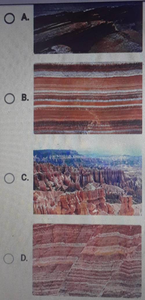 Which photo shows no evidence that the rock has been deformed by movements of earth crust