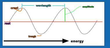 In the picture below identify the type of wave in the top picture. *

Compressional
Transverse
Sur
