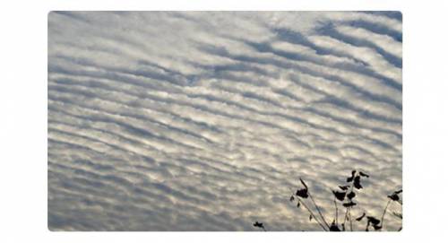 PICK TWO OPTIONS

Which twp types of weather are most likely to occur when you see clouds lik