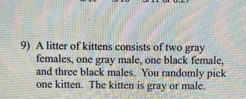 A litter of kittens consists of two gray females, one gray male , one black female, and three black