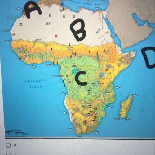 Which point on the map below would be considered ’sub- Saharan Africa’?
A
B
C
D