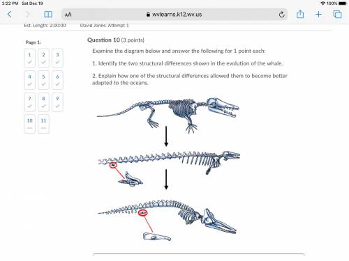 1. Identify TWO similarities between the dinosaur skeleton on the left and the bird skeleton on the