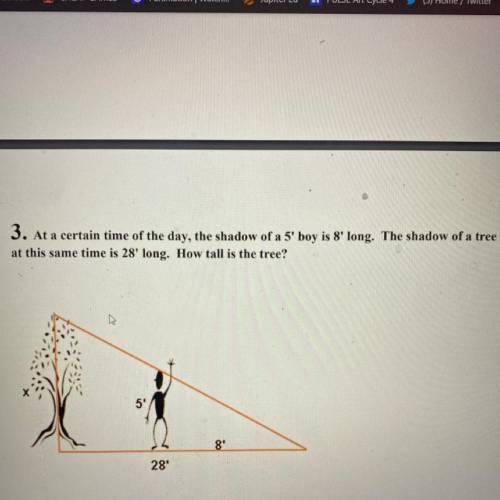 How to solve this question pls I put 10pts for this I really need this answer