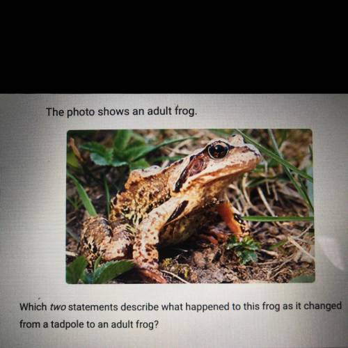 Help plssssssssssss

The photo shows an adult frog.
Which two statements describe what happened to