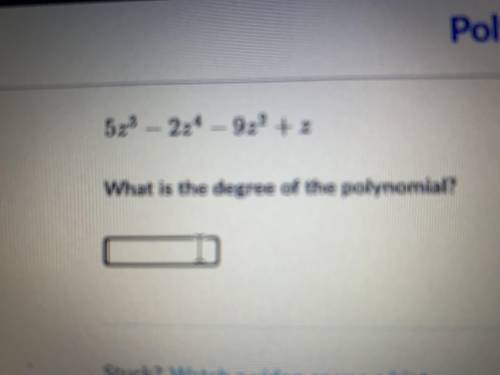 What is the degree of the polynomial