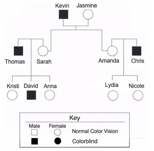 The pedigree chart represents the inheritance of color blindness through three generations. Color b