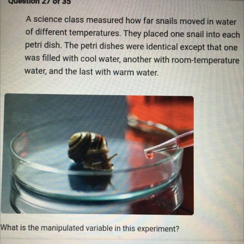 What is the manipulated variable in this experiment?

O A. The distance the snails moved
OB. The s