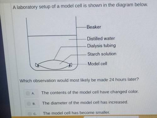D. the amount of distilled water in the beaker has increasedare the answer choices