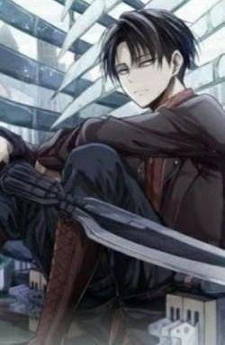 who watches attack on titan,i dont think you would care but i really like levi.(dont report just ig