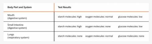 The test report above shows the level of molecules in different parts of the patient’s body. How wo