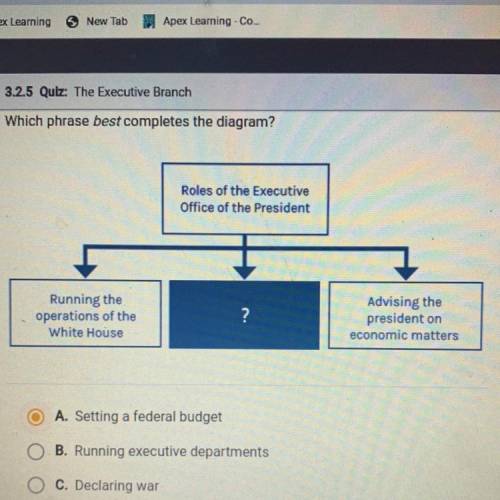 Which phrase best completes the diagram?

A. Setting a federal budget
B. Running executive departm